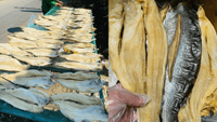 Filets de poisson basa séchés de qualité supérieure à bas prix, corps de pangasius salinisé, sac OEM ODM, vente en gros