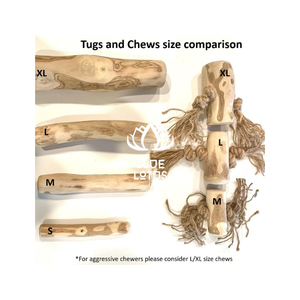 BEST SELLER Bâton à mâcher pour chien en bois de café de qualité supérieure, sûr et sans éclats, bâton dentaire pour chiens - Product Image 6