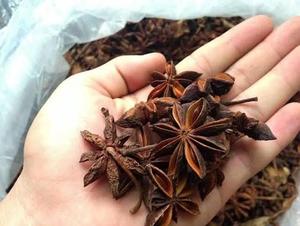 Anís estrellado vietnamita seco entero, aceite esencial de alta calidad, orgánico, a granel, especias de anís estrellado, directo de fábrica, mejor precio - Product Image 2