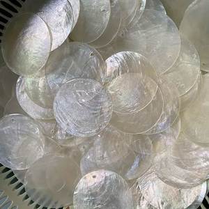 Discos de Concha de Abulón Natural en Forma de Círculo, Color Blanco Iridiscente, Material para Decoración del Hogar y Manualidades - Product Image 1