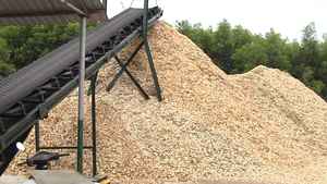 Vente en gros de copeaux de bois en grande quantité en provenance du Vietnam pour les applications de pâte à papier/biomasse combustible à prix avantageux - Product Image 4