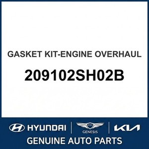 Grandeur/Azera Nouveaux joints et garnitures 209102SH02B - Product Image 1