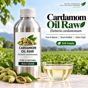 Elettaria Cardamomum Grüne Kardamom-Schoten Getrocknete Kardamom-Samen Natürliches Botanisches Rohmaterial Hersteller Großhandel Bulk - Product Image 1