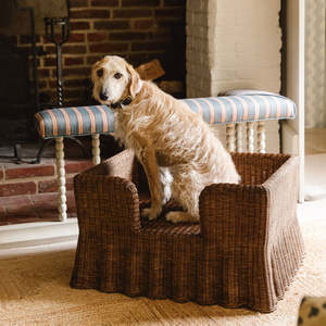 Lit pour chien en rotin brun foncé, dossier haut, tressé, canapé-lit pour animaux de compagnie, chaise-coussin, lit de luxe, grand canapé pour chien, mobilier de salon pour animaux de compagnie - Product Image 5