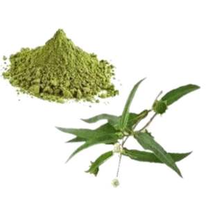 Bhangra Plant <b>Extract</b> - Product Image 5