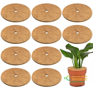 Eco2go Vietnam Ho Chi Minh City Anillo de Fibra de Coco Natural Moderno, Protector de Base de Árboles de Fibra de Coco Orgánica para Jardinería - Product Image 4