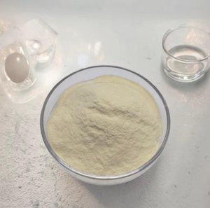 Papaína en Polvo de Alta Actividad 800 TU para una Digestión Eficiente de Proteínas, Apoyo Digestivo y Aplicaciones Comerciales en Alimentos - Product Image 3