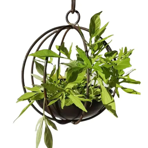 Jardinière en métal de luxe blanchie à la chaux de haute qualité pour la maison, le jardin et la terrasse – Fabricant et grossiste directs - Product Image 3