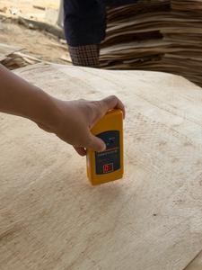 Chapa de Madera de Caucho Cortada Rotacionalmente, Duradera y Ecológica, 5-10% de Humedad, 1270x640mm, para Fabricación de Muebles y Tableros de Contrachapado - Product Image 2