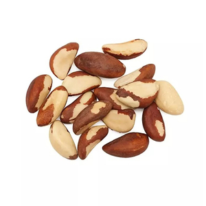 Fournisseur en gros de noix brésiliennes, prix bas, qualité nutritive - Product Image 1