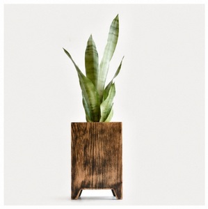 Jardinera Cuadrada Rústica de Madera, Hecha a Mano, de Madera de Pino Sólido, Maceta para Suculentas de Interior, Decoración Moderna y Ecológica para Escritorio - Product Image 3