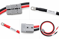 Câble flexible pour batterie haute tension 600V 40A 120A, connecteur terminal en cuivre pur PVC pour véhicules électriques