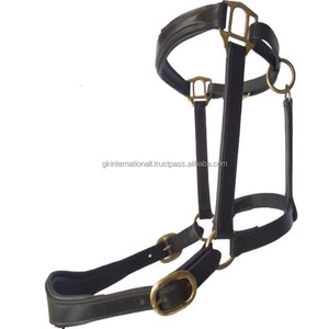 <b>Top</b> Selling Custom Design Black or Brown Genuine <b>Leather</b> Padded Horse <b>Halter</b> With Strong Brass Plated Buckle and Rings All Sizes - Product Image 1