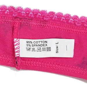 Braguitas Románticas Personalizadas con Logotipo para Mujer, Tejidas, Ecológicas, de Talle Medio, Tallas Grandes, con Estampado de Letras en la Cintura - Product Image 5