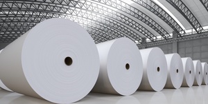 Polvo calcinado Kaolin K95P de primera calidad para revestimiento de pintura, papel de caucho cerámico, aplicación refractaria de plástico, fábrica de exportación - Product Image 5