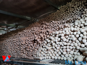 Precio al por mayor: Palos de madera ecológicos para masticar para perros, juguetes masticables para perros de Vietnam / Sra. Lima - Product Image 4