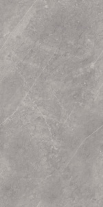 ENDLESS 020 GRIS 800x1600mm Carreaux en porcelaine à surface brillante - Design moderne style ferme pour supermarché et usage extérieur - Product Image 4
