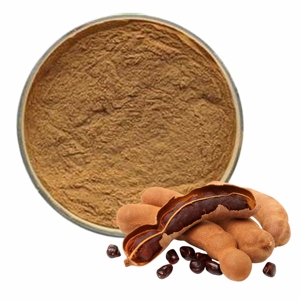 สารสกัดมะขามพรีเมียม เกรดอาหาร ผงมะขามแห้ง อุดมไปด้วยวิตามิน แร่ธาตุ และสารต้านอนุมูลอิสระ เพื่อสุขภาพทางเดินอาหารที่ดี - Product Image 1