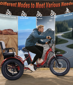 El Mejor Triciclo Eléctrico de Dos Plazas para Adultos, Plegable, con Asiento para Pasajero, Batería de 48V20AH, Motor de 750W de Potencia Máxima, Pre-Ensamblado 85 - Product Image 5