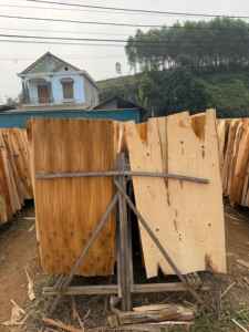 Láminas de Chapa de Madera de Eucalipto, Corte Rotatorio, Ecológicas y Duraderas, 1270 mm de Longitud, para Material de Núcleo de Contrachapado - Product Image 2