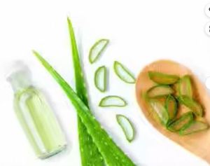 Aceite de Aloe Vera de Calidad Genuina para Uso Cosmético, Aceite Herbal Natural de Fabricante Indio al Mejor Precio - Product Image 4