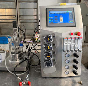 Biorreactor de vidrio 7L, biorreactor de vidrio diseñado para el cultivo controlado de células - Product Image 3