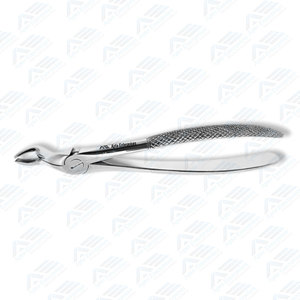 Instrumentos Quirúrgicos Dentales, Fórceps para Molares Superiores de Acero Inoxidable, Instrumentos para Raíces de Molares Superiores - Product Image 3