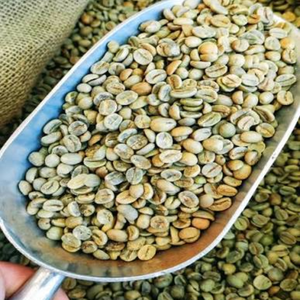 กาแฟโรบัสต้าเวียดนามที่ยั่งยืน, รับผลิตแบบ OEM ODM สำหรับการส่งออกจำนวนมาก, เมล็ดกาแฟดิบธรรมชาติ, ความชื้น 12%, ขั้นต่ำในการสั่งซื้อ 100 กิโลกรัม - Product Image 5
