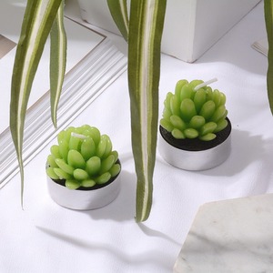 Velas Aromáticas TOOWIN con Diseños de Suculentas Artificiales, Velas Decorativas Románticas para el Hogar - Product Image 1