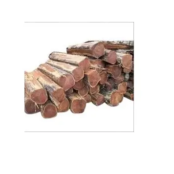 Troncos de madera de pino en bruto 100% personalizados al por mayor, troncos de madera de teca, troncos de madera de teca a la venta