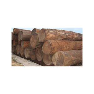 Bois de teck africain de qualité supérieure en gros – Approvisionnement en bois de haute qualité - Product Image 3