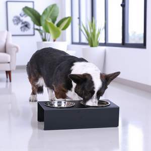 สถานีให้อาหารสัตว์เลี้ยงแบบยกสูงคุณภาพสูง พร้อมชามสแตนเลสแบบถอดได้ และฐานโลหะแข็งแรงทนทานสำหรับสุนัขและแมว - Product Image 1