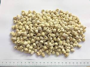 Semillas de Loto Blanco Secas de Blue Lotus Farm, Naturales de Dong Thap, Ho Chi Minh, Vietnam, Alta Calidad, 24 Meses de Vida Útil, Almacenamiento Congelado - Product Image 5