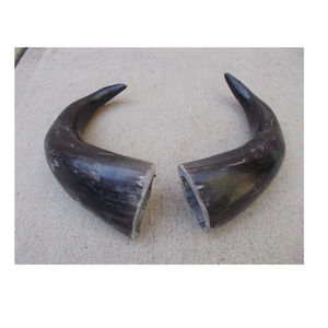 Buffalo Natural <b>Black</b> Horn decorative Modern Decorative Use Polished Eco-Friendly Natural Shape - Product Image 4