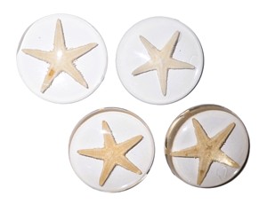 Starfish Real Specimen Plastic Cabochon Round 38x38 mm Clear Flat Bottom for Crafts and Jewelry Making - Product Image 6