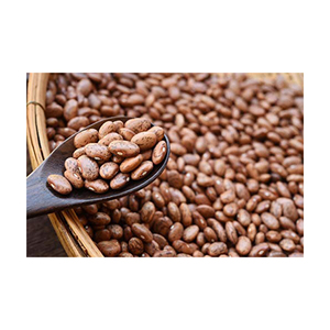 Haricots Pinto Séchés Délicieux + Haricots Tachetés Frais et Sains pour la Consommation en Conserve - Product Image 4