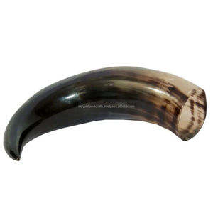 Cuerno de Buey para Beber, Artesanía Religiosa, Decoración Animal, Tallado Pulido, Hecho en India - Product Image 5