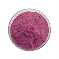 Premium Kwaliteit Natuurlijk Blauwe Bosbes Fruitpoeder 100% Zuiver Vriesgedroogd Blauwe Bosbes Poeder Rijk aan Antioxidanten & Mineralen