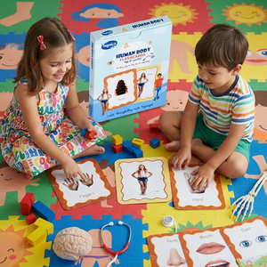 Tarjetas didácticas Toysaga del cuerpo humano, 30 piezas para niños mayores de 2 años, tarjetas educativas para aprendizaje temprano - Product Image 5