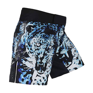 Shorts de combat MMA personnalisés en polyester 100% pour hommes, imprimés par sublimation, pour adultes et jeunes - Product Image 1