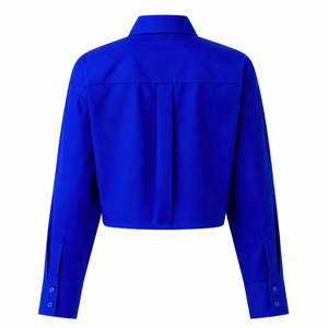 Chemise de bureau formelle pour femmes Zeta Phi Beta, chemise de travail professionnelle à boutons brodés pour les réunions d'affaires et les tenues de bureau - Product Image 4