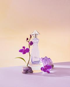 Perfume de Mujer Chypre de Lujo para Uso Diario, Eau de Parfum Vietnamita Miss Saigon Elegance Amethyst, Set de Spray de 50 ml, Venta al Por Mayor - Product Image 5
