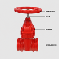 Vanne à opercule Z85X-16Q en fonte ductile à extrémité rainurée, à tige non montante, avec siège à ressort, PN16, température normale, pour eau de lutte contre l'incendie
