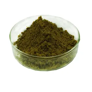 Factory Wholesale Epimedium Sagittatum Extract Horny Goat Weed Icariin 10%