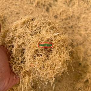 Bagasse de canne à sucre biologique pour l'alimentation animale, mélangée à de la peau d'ananas, haute valeur nutritive, 12 mois - Product Image 5