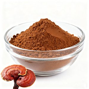 Polvo de Hongo Reishi de Primera Calidad, 100% Puro y Limpio, Extracto Herbal, Suplemento de Polvo de Reishi para Apoyar la Energía y la Vitalidad - Product Image 1