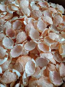 เปลือกปูแห้งสำหรับตกแต่งอาหารและงานฝีมือ/คุณเคลลี่ - Product Image 3