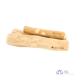 Bâtonnets à mâcher pour chien en noix de coco écologiques de haute qualité, jouet durable pour animaux de compagnie, pour les soins dentaires et la dentition des chats et des chiens, de Blue Lotus - Product Image 1