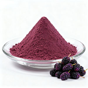Poudre de mûrier 100% naturelle et populaire, qualité alimentaire, utilisée traditionnellement dans les produits de bien-être à base de plantes - Product Image 2