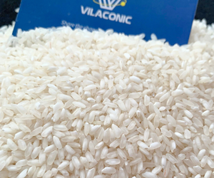 Camolino Rice – Premium Egyptian Rice | Soft Texture Fragrant Taste Authentic Middle Eastern <b>Grain</b> - Product Image 1